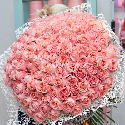 Розовые розы в разных форматах: выбирайте подходящий вам вариант