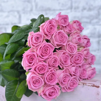 Огромный выбор качественных изображений розовых роз на нашем сайте