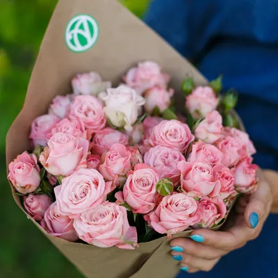 Интересующие вас фотографии розовых роз в нужных размерах и форматах