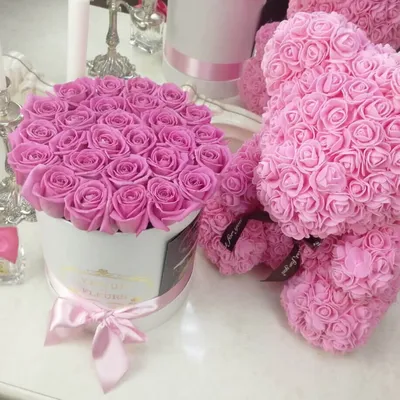 Идеальные снимки розовых роз для вашего дизайна или коллекции