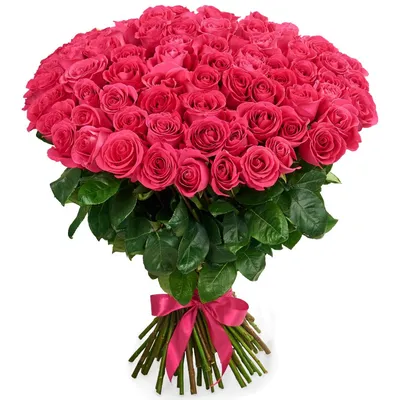 Превосходные фото розовых роз, доступные в разных форматах