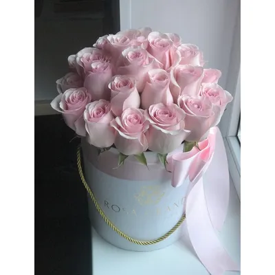 Подберите свое идеальное изображение розовых роз из нашего широкого выбора