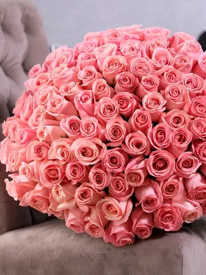 Загляните в нашу галерею изображений розовых роз и найдите идеальную фотографию