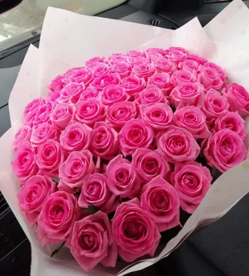 Огромный выбор качественных изображений розовых роз на нашем сайте