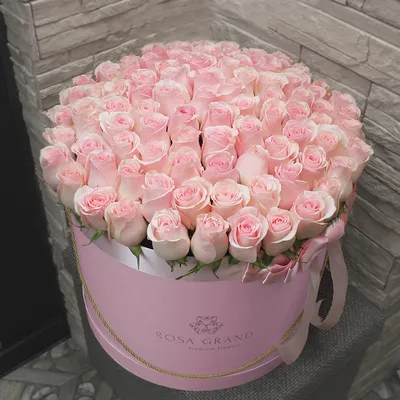 Любители розовых роз найдут свой идеальный снимок среди нашей коллекции