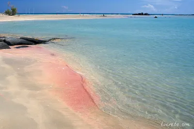 Розовый пляж крит  фото