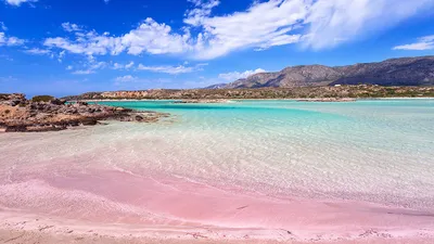 Фото Розового пляжа Крит - загляните в удивительный мир природы