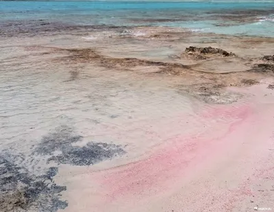 Розовый пляж Крит - природное чудо, доступное для скачивания
