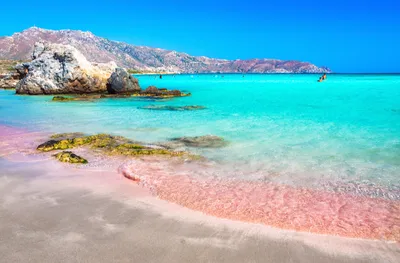 Фотографии Розового пляжа Крит - наслаждайтесь красотой в высоком разрешении