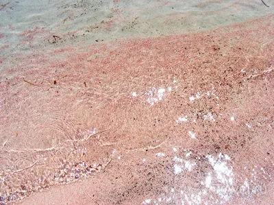 Новые фотографии Розового пляжа Крит - обновите свою коллекцию