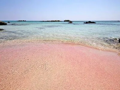 Фото Розового пляжа Крит - выберите размер и формат для скачивания