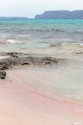 Фото Розового пляжа Крит - скачайте их бесплатно в разных форматах