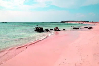 Розовый пляж Крит - уникальное место для фотосессии