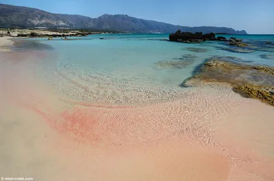 Фотографии с Розового пляжа Крита: место, где время останавливается