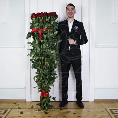 Фото, картинка роз Розы 2 метра: выберите размер и формат для скачивания