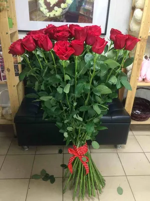 Розы 2 метра: доступные размеры и форматы фото