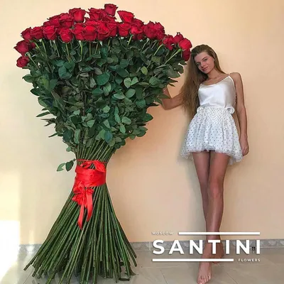 Изображение роз Розы 2 метра: выберите желаемый формат и размер