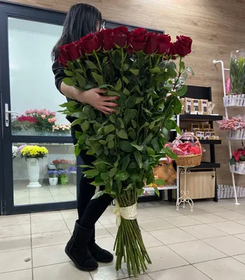 Фотография, изображение розы Розы 2 метра в разных форматах и размерах