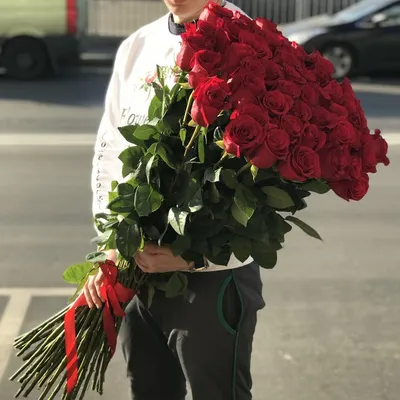 Картинки роз в различных форматах