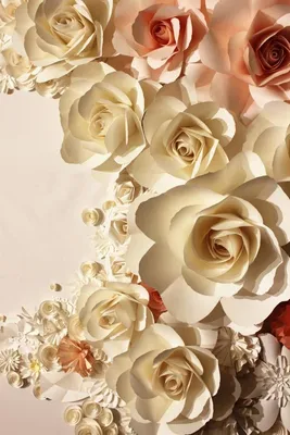 Уникальные фото роз в формате png