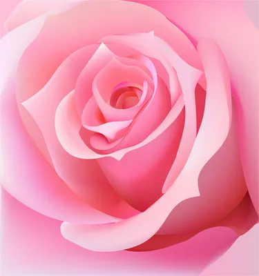 Бесподобные 3D розы, доступные в разных размерах