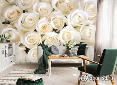 Фото роз в формате jpg с яркими цветами