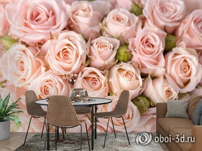 Впечатляющие изображения роз в формате webp для скачивания