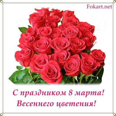 Фотки роз - запоминающийся подарок на 8 марта