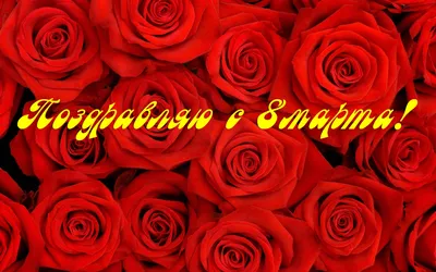 Картинки роз - воплощение роскоши и изысканности