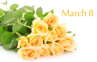 Розы на 8 марта - скачивайте в формате jpg для высокого качества