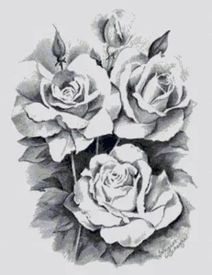 Роза в черно-белой гамме на фотографии