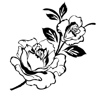 Роза на фото в черно-белом стиле: jpg, png, webp