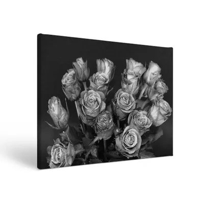 Черно-белое фото розы в разных размерах