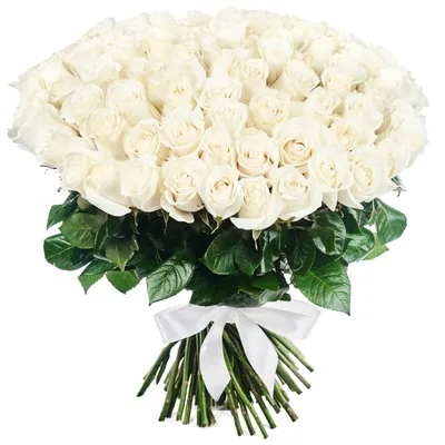 Изображение черно-белой розы для скачивания: jpg, png, webp