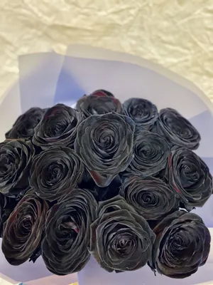 Фотка черно-белой розы в различных вариантах