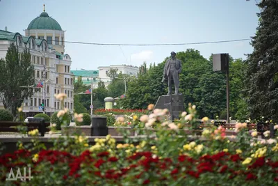Красивая картинка розы для скачивания