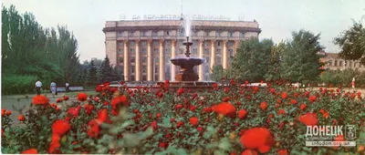 Формат WEBP для фото розы