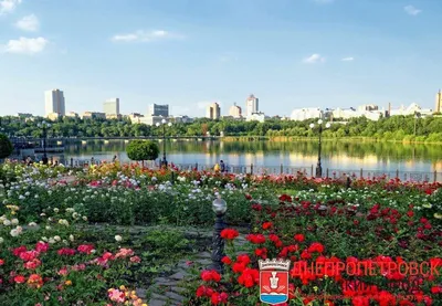 Изображение розы с возможностью выбора формата и размера файла