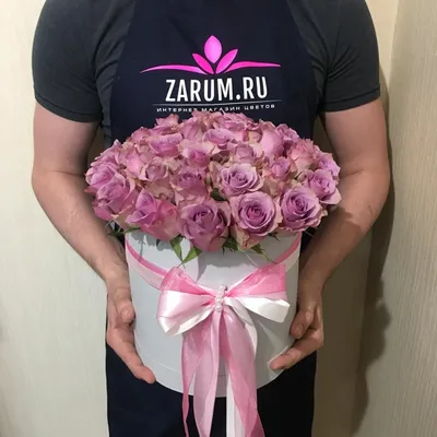 Розы фиолетового цвета в разных размерах и форматах для скачивания
