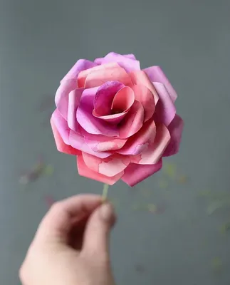 Фото розы из бумаги с возможностью загрузки в png