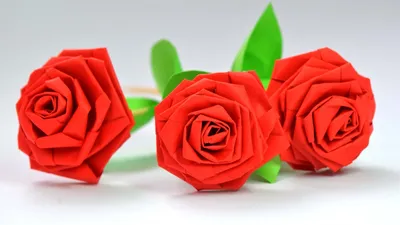 Фото розы из бумаги с возможностью загрузки в png