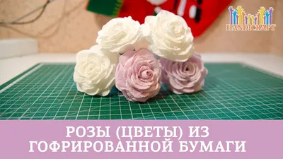 Стилизованные розы из гофрированной бумаги в формате png