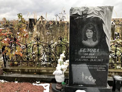 Розы из гранита на красивом изображении jpg
