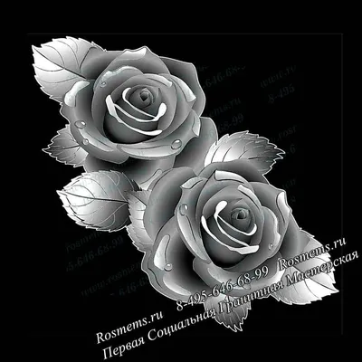Фотография розы из гранита в формате webp