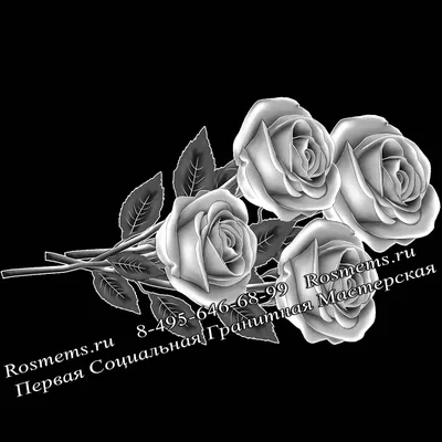 Фото розы из гранита в высоком качестве, формат png