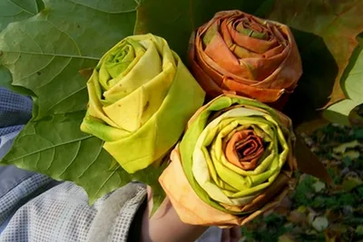 Розы из кленовых листьев: нежная и изысканная категория фотографий