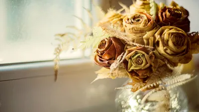 Фото роз: прекрасные изображения роз из кленовых листьев