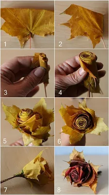 Фотографии роз из кленовых листьев: выберите свой идеальный формат