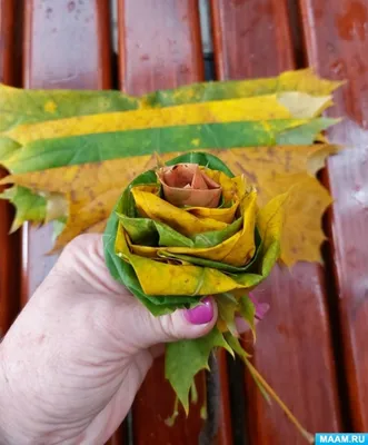 Фотографии роз из кленовых листьев: выбирайте свой любимый формат изображения
