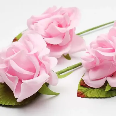 Милые розы из ткани на фото в формате jpg